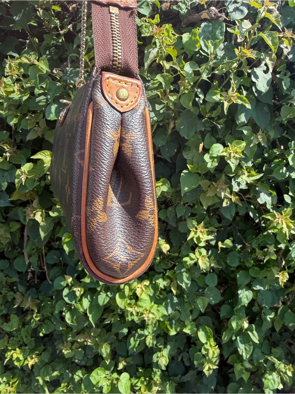 Louis Vuitton Eva Monogram Pochette - Picture 4 of 13
